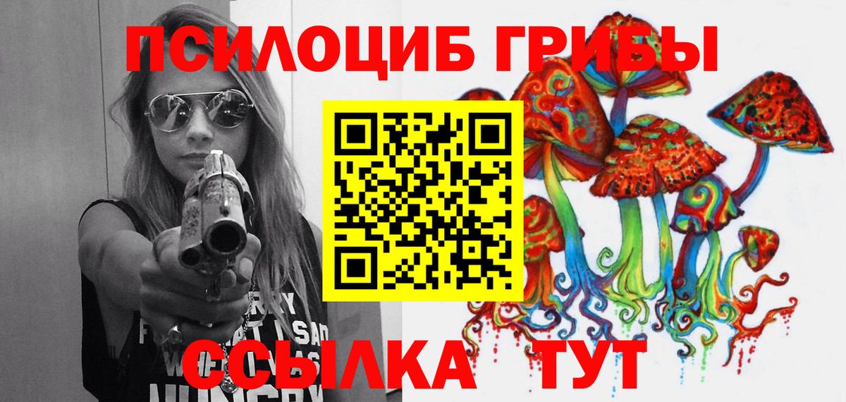 Псилоцибиновые грибы мицелий Набережные Челны